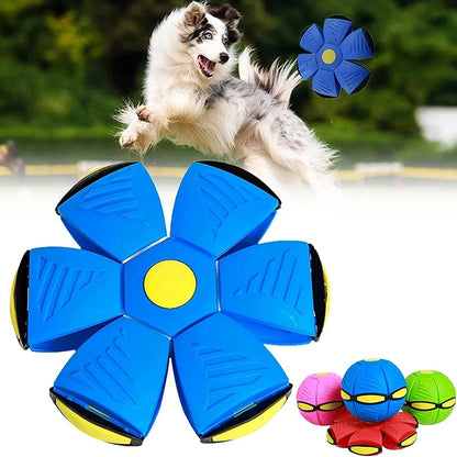 Dog Magic Flying Saucer Toy