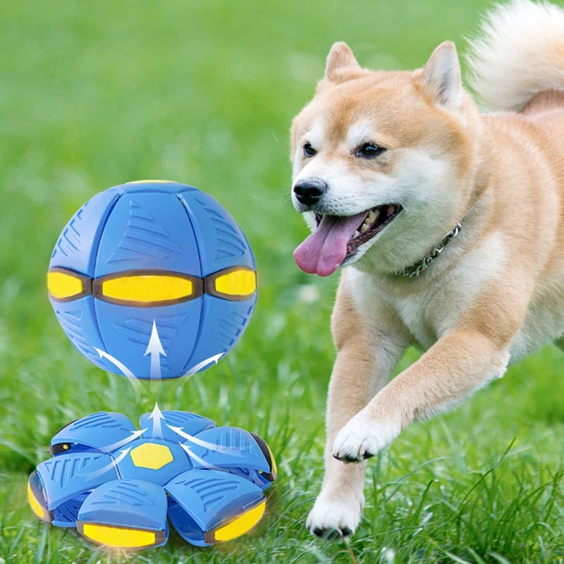 Dog Magic Flying Saucer Toy