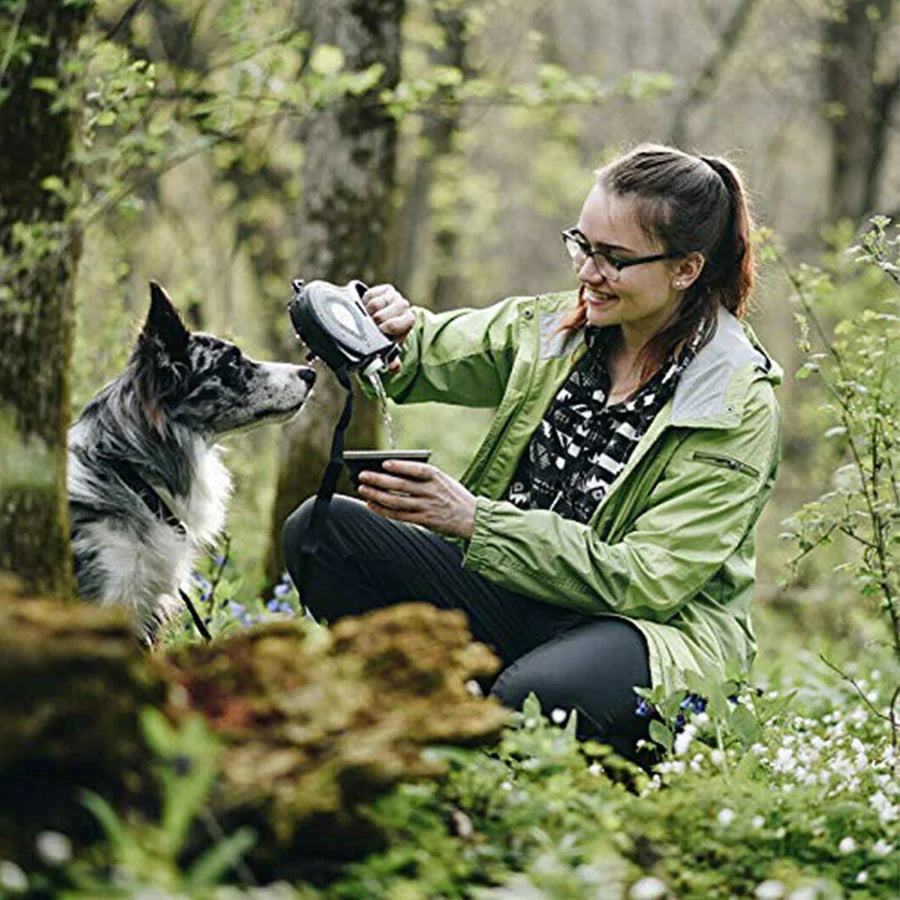 All-in-one dog leash