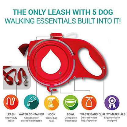 All-in-one dog leash